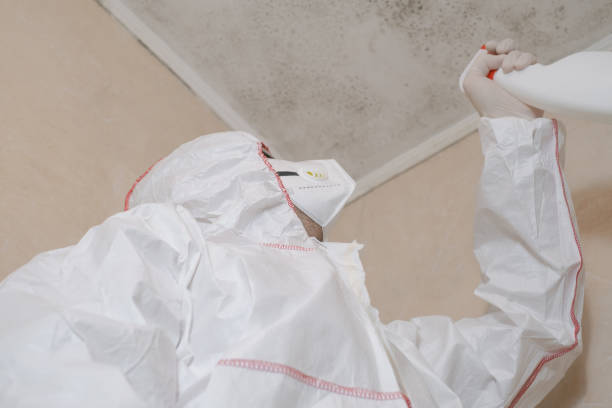Best Industrial Mold Remediation in Van Horn, TX