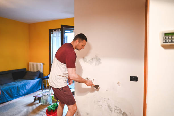 Best Commercial Mold Remediation in Van Horn, TX