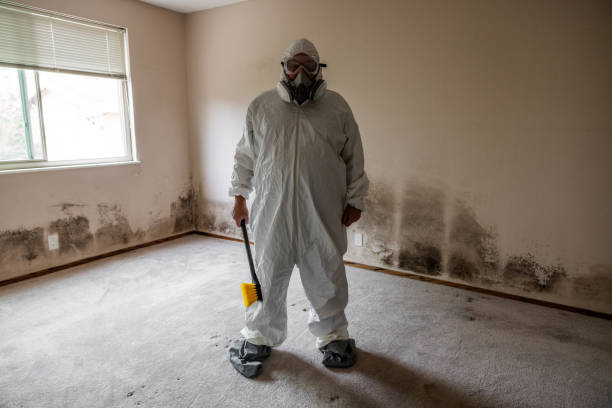 Best DIY Mold Remediation Support Services in Van Horn, TX